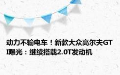 动力不输电车！新款大众高尔夫GTI曝光：继续搭载2.0T发动机