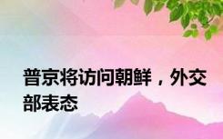 普京将访问朝鲜，外交部表态