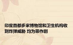 印度首都多家博物馆和卫生机构收到炸弹威胁 均为恶作剧