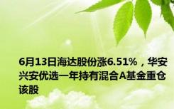 6月13日海达股份涨6.51%，华安兴安优选一年持有混合A基金重仓该股
