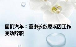 国机汽车：董事长彭原璞因工作变动辞职