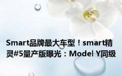 Smart品牌最大车型！smart精灵#5量产版曝光：Model Y同级