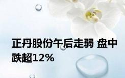正丹股份午后走弱 盘中跌超12%