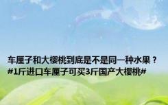 车厘子和大樱桃到底是不是同一种水果？#1斤进口车厘子可买3斤国产大樱桃#