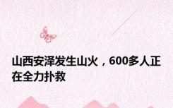 山西安泽发生山火，600多人正在全力扑救