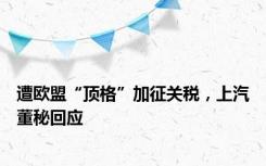 遭欧盟“顶格”加征关税，上汽董秘回应