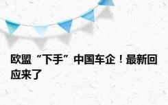 欧盟“下手”中国车企！最新回应来了
