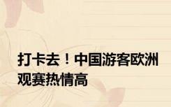打卡去！中国游客欧洲观赛热情高