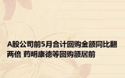 A股公司前5月合计回购金额同比翻两倍 药明康德等回购额居前
