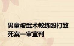 男童被武术教练殴打致死案一审宣判