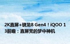 2K直屏+骁龙8 Gen4！iQOO 13前瞻：直屏党的梦中神机
