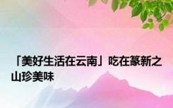 「美好生活在云南」吃在篆新之山珍美味