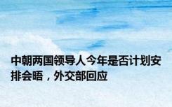 中朝两国领导人今年是否计划安排会晤，外交部回应