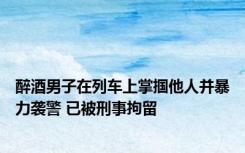 醉酒男子在列车上掌掴他人并暴力袭警 已被刑事拘留