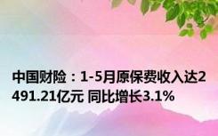 中国财险：1-5月原保费收入达2491.21亿元 同比增长3.1%