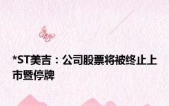 *ST美吉：公司股票将被终止上市暨停牌