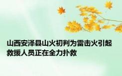 山西安泽县山火初判为雷击火引起 救援人员正在全力扑救