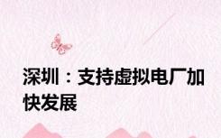 深圳：支持虚拟电厂加快发展