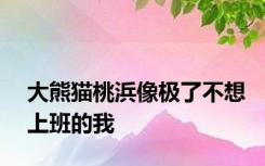 大熊猫桃浜像极了不想上班的我