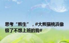 思考“熊生”，#大熊猫桃浜像极了不想上班的我#