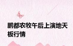 鹏都农牧午后上演地天板行情