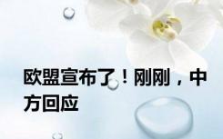 欧盟宣布了！刚刚，中方回应