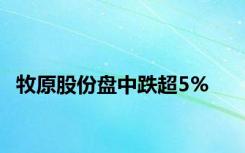 牧原股份盘中跌超5%