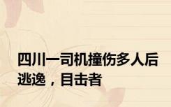 四川一司机撞伤多人后逃逸，目击者