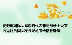 商务部国际贸易谈判代表兼副部长王受文会见联合国贸发会议秘书长格林斯潘