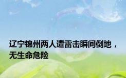 辽宁锦州两人遭雷击瞬间倒地，无生命危险