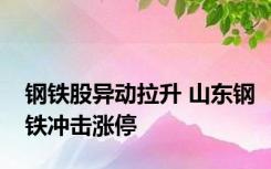 钢铁股异动拉升 山东钢铁冲击涨停