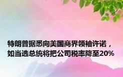 特朗普据悉向美国商界领袖许诺，如当选总统将把公司税率降至20%