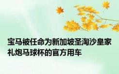 宝马被任命为新加坡圣淘沙皇家礼炮马球杯的官方用车