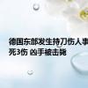 德国东部发生持刀伤人事件致1死3伤 凶手被击毙