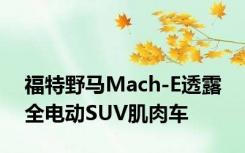 福特野马Mach-E透露 全电动SUV肌肉车