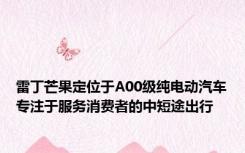 雷丁芒果定位于A00级纯电动汽车专注于服务消费者的中短途出行