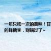一年只吃一次的美味！甘甜爽脆的蜂糖李，别错过了~
