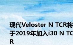 现代Veloster N TCR将于2019年加入i30 N TCR