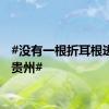 #没有一根折耳根逃得出贵州#