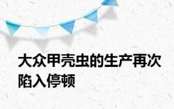 大众甲壳虫的生产再次陷入停顿