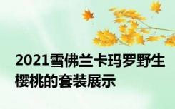2021雪佛兰卡玛罗野生樱桃的套装展示
