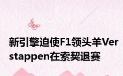 新引擎迫使F1领头羊Verstappen在索契退赛