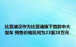 比亚迪汉作为比亚迪旗下首款中大型车 预售价格区间为23至28万元