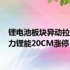 锂电池板块异动拉升 天力锂能20CM涨停