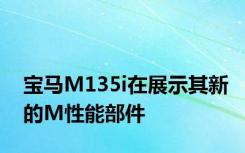 宝马M135i在展示其新的M性能部件