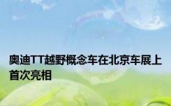 奥迪TT越野概念车在北京车展上首次亮相