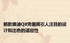 新款奥迪Q8凭借其引人注目的设计和出色的适应性