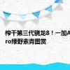 榨干第三代骁龙8！一加Ace 3 Pro绿野素青图赏