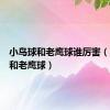 小鸟球和老鹰球谁厉害（小鸟球和老鹰球）