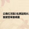 云南红河县2名原副局长主动投案接受审查调查